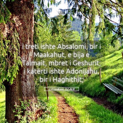 Picture 05 - 1 Kronikave 3:2 ALB - i treti ishte Absalomi, bir i Maakahut, e bija e - Bible Verse Picture