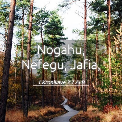 Picture 05 - 1 Kronikave 3:7 ALB - Nogahu, Nefegu, - Bible Verse Picture