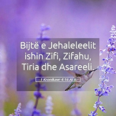 Picture 05 - 1 Kronikave 4:16 ALB - Bijtë e Jehaleleelit ishin Zifi, Zifahu, Tiria - Bible Verse Picture