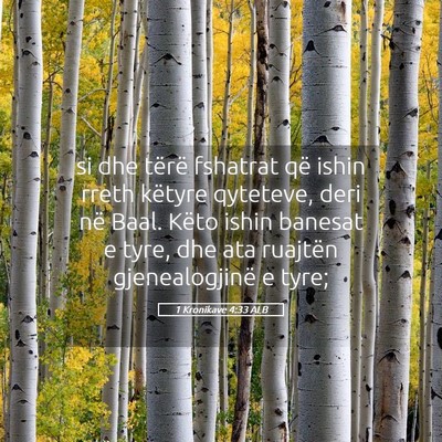 Picture 05 - 1 Kronikave 4:33 ALB - si dhe tërë fshatrat që ishin rreth këtyre - Bible Verse Picture