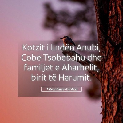 Picture 05 - 1 Kronikave 4:8 ALB - Kotzit i lindën Anubi, Cobe-Tsobebahu dhe - Bible Verse Picture