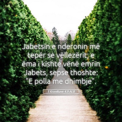 Picture 05 - 1 Kronikave 4:9 ALB - Jabetsin e nderonin më tepër se vëllezërit; e - Bible Verse Picture