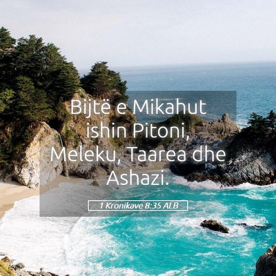 Picture 05 - 1 Kronikave 8:35 ALB - Bijtë e Mikahut ishin Pitoni, Meleku, Taarea dhe - Bible Verse Picture