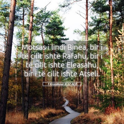 Picture 05 - 1 Kronikave 8:37 ALB - Motsas i lindi Binea, bir i të cilit ishte - Bible Verse Picture