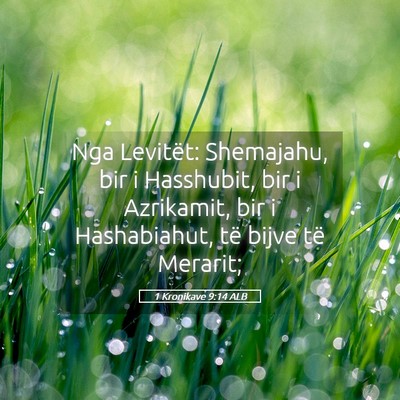 Picture 05 - 1 Kronikave 9:14 ALB - Nga Levitët: Shemajahu, bir i Hasshubit, bir i - Bible Verse Picture