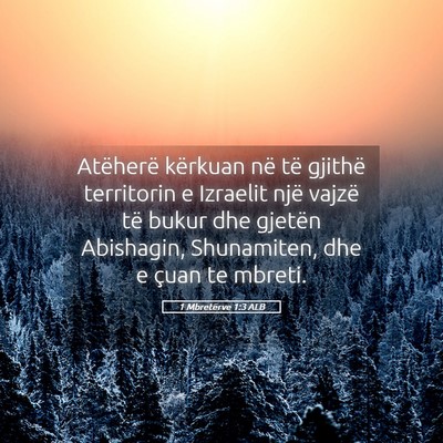 Picture 05 - 1 Mbretërve 1:3 ALB - Atëherë kërkuan në të gjithë territorin e - Bible Verse Picture