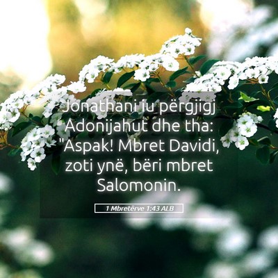 Picture 05 - 1 Mbretërve 1:43 ALB - Jonathani iu përgjigj Adonijahut dhe tha: - Bible Verse Picture