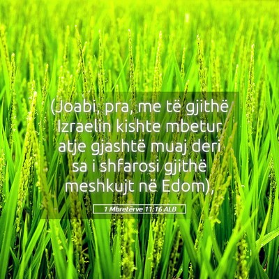 Picture 05 - 1 Mbretërve 11:16 ALB - (Joabi, pra, me të gjithë Izraelin kishte - Bible Verse Picture