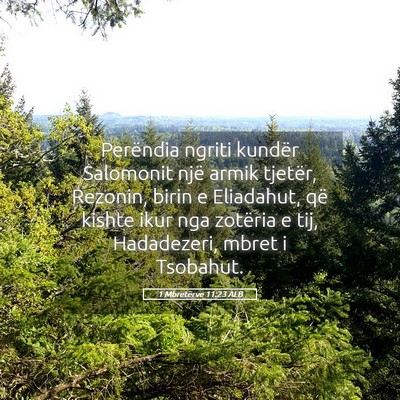 Picture 05 - 1 Mbretërve 11:23 ALB - Perëndia ngriti kundër Salomonit një armik - Bible Verse Picture