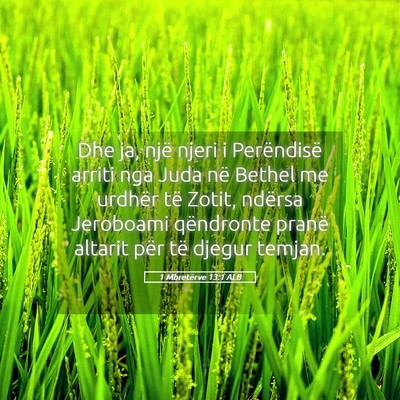 Picture 05 - 1 Mbretërve 13:1 ALB - Dhe ja, një njeri i Perëndisë arriti nga Juda - Bible Verse Picture