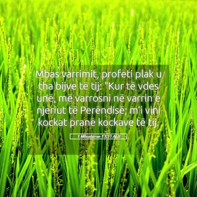 Picture 05 - 1 Mbretërve 13:31 ALB - Mbas varrimit, profeti plak u tha bijve të tij: - Bible Verse Picture