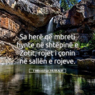 Picture 05 - 1 Mbretërve 14:28 ALB - Sa herë që mbreti hynte në shtëpinë e Zotit, - Bible Verse Picture