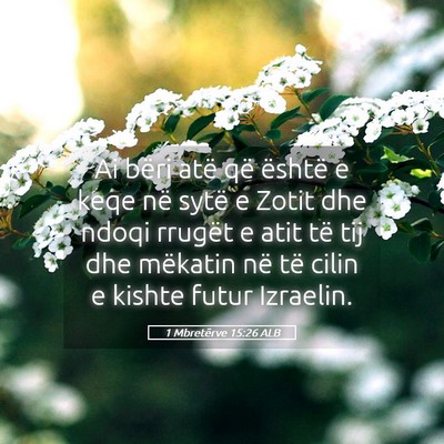 Picture 05 - 1 Mbretërve 15:26 ALB - Ai bëri atë që është e keqe në sytë e - Bible Verse Picture