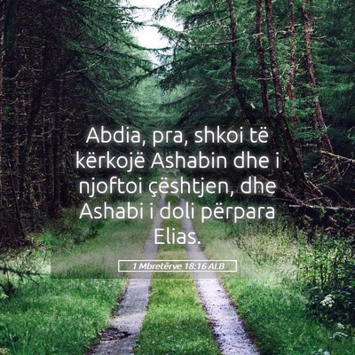 Picture 05 - 1 Mbretërve 18:16 ALB - Abdia, pra, shkoi të kërkojë Ashabin dhe i - Bible Verse Picture