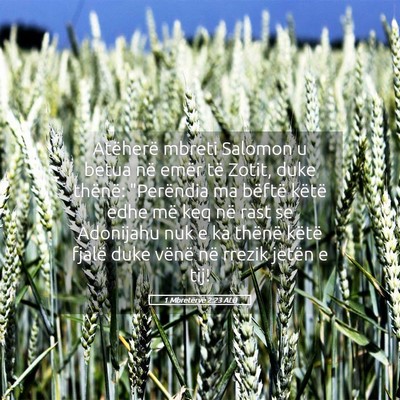 Picture 05 - 1 Mbretërve 2:23 ALB - Atëherë mbreti Salomon u betua në emër të - Bible Verse Picture