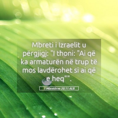 Picture 05 - 1 Mbretërve 20:11 ALB - Mbreti i Izraelit u përgjigj: 