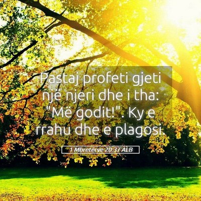 Picture 05 - 1 Mbretërve 20:37 ALB - Pastaj profeti gjeti një njeri dhe i tha: 