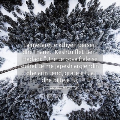 Picture 05 - 1 Mbretërve 20:5 ALB - Lajmëtarët e kthyen përsëri dhe thanë: - Bible Verse Picture