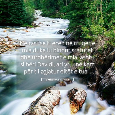 Picture 05 - 1 Mbretërve 3:14 ALB - Në rast se ti ecën në rrugët e mia duke iu - Bible Verse Picture