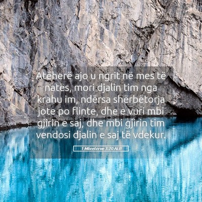 Picture 05 - 1 Mbretërve 3:20 ALB - Atëherë ajo u ngrit në mes të natës, mori - Bible Verse Picture