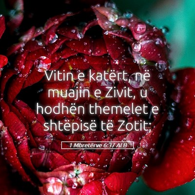 Picture 05 - 1 Mbretërve 6:37 ALB - Vitin e katërt, në muajin e Zivit, u hodhën - Bible Verse Picture