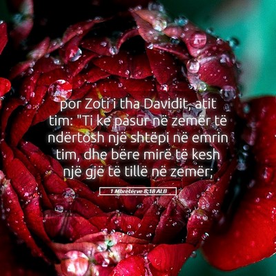 Picture 05 - 1 Mbretërve 8:18 ALB - por Zoti i tha Davidit, atit tim: 