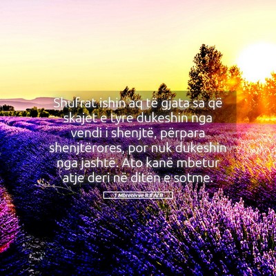 Picture 05 - 1 Mbretërve 8:8 ALB - Shufrat ishin aq të gjata sa që skajet e tyre - Bible Verse Picture