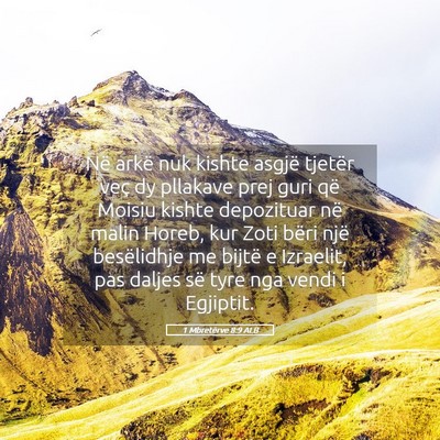 Picture 05 - 1 Mbretërve 8:9 ALB - Në arkë nuk kishte asgjë tjetër veç dy - Bible Verse Picture