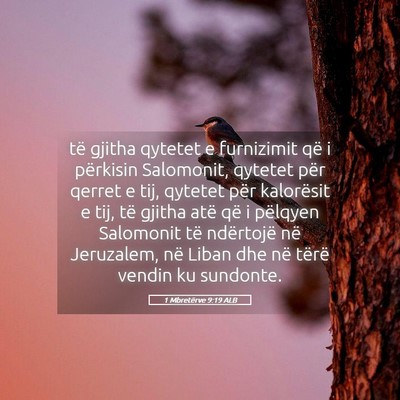 Picture 05 - 1 Mbretërve 9:19 ALB - të gjitha qytetet e furnizimit që i përkisin - Bible Verse Picture