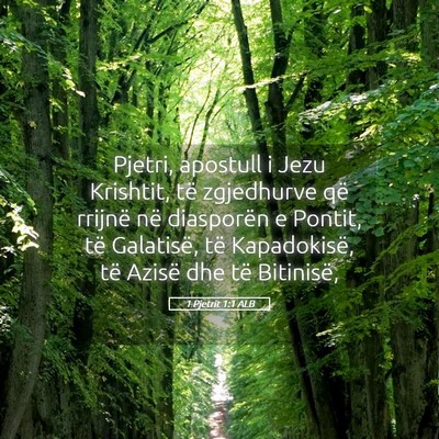 Picture 05 - 1 Pjetrit 1:1 ALB - Pjetri, apostull i Jezu Krishtit, të zgjedhurve - Bible Verse Picture