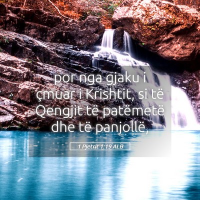 Picture 05 - 1 Pjetrit 1:19 ALB - por nga gjaku i çmuar i Krishtit, si të Qengjit - Bible Verse Picture