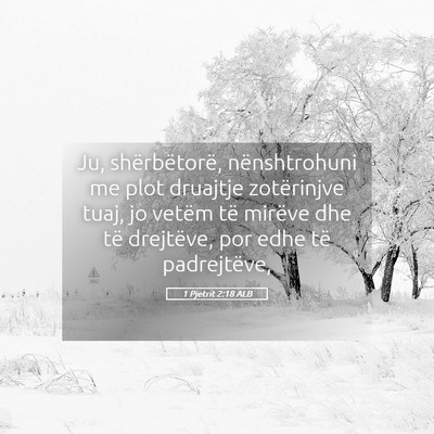 Picture 05 - 1 Pjetrit 2:18 ALB - Ju, shërbëtorë, nënshtrohuni me plot druajtje - Bible Verse Picture