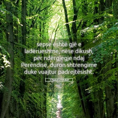 Picture 05 - 1 Pjetrit 2:19 ALB - sepse është gjë e ladërueshme, nëse dikush, - Bible Verse Picture