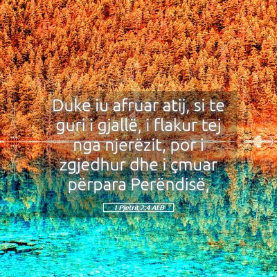 Picture 05 - 1 Pjetrit 2:4 ALB - Duke iu afruar atij, si te guri i gjallë, i - Bible Verse Picture