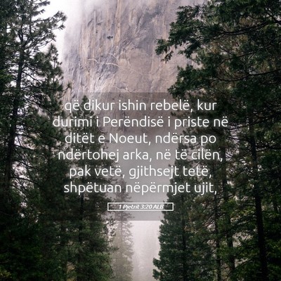 Picture 05 - 1 Pjetrit 3:20 ALB - që dikur ishin rebelë, kur durimi i Perëndisë - Bible Verse Picture