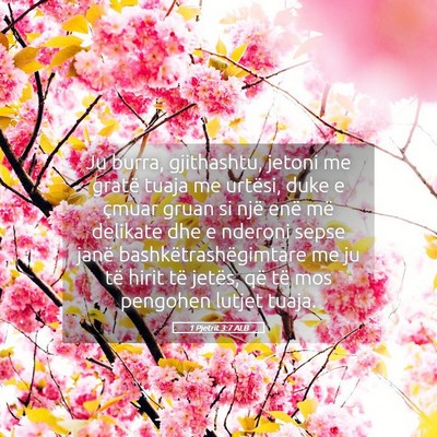 Picture 05 - 1 Pjetrit 3:7 ALB - Ju burra, gjithashtu, jetoni me gratë tuaja me - Bible Verse Picture