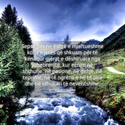 Picture 05 - 1 Pjetrit 4:3 ALB - Sepse për ne është e mjaftueshme koha e jetës - Bible Verse Picture