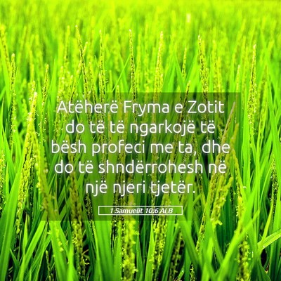 Picture 05 - 1 Samuelit 10:6 ALB - Atëherë Fryma e Zotit do të të ngarkojë të - Bible Verse Picture