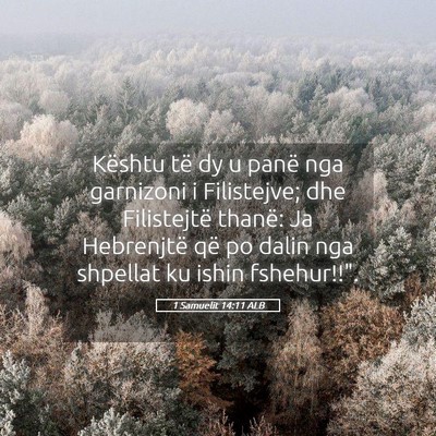 Picture 05 - 1 Samuelit 14:11 ALB - Kështu të dy u panë nga garnizoni i - Bible Verse Picture