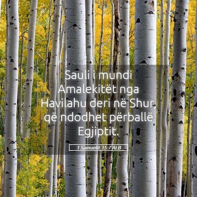 Picture 05 - 1 Samuelit 15:7 ALB - Sauli i mundi Amalekitët nga Havilahu deri në - Bible Verse Picture