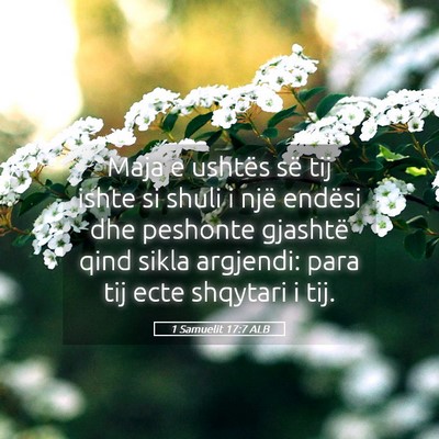 Picture 05 - 1 Samuelit 17:7 ALB - Maja e ushtës së tij ishte si shuli i një - Bible Verse Picture