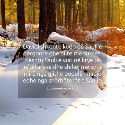 Picture 05 - 1 Samuelit 18:5 ALB - Davidi shkonte kudo që Sauli e dërgonte dhe - Bible Verse Picture