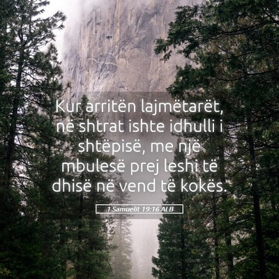 Picture 05 - 1 Samuelit 19:16 ALB - Kur arritën lajmëtarët, në shtrat ishte - Bible Verse Picture