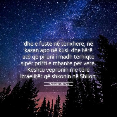 Picture 05 - 1 Samuelit 2:14 ALB - dhe e fuste në tenxhere, në kazan apo në kusi, - Bible Verse Picture