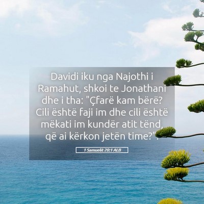 Picture 05 - 1 Samuelit 20:1 ALB - Davidi iku nga Najothi i Ramahut, shkoi te - Bible Verse Picture