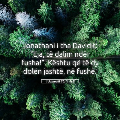 Picture 05 - 1 Samuelit 20:11 ALB - Jonathani i tha Davidit: 