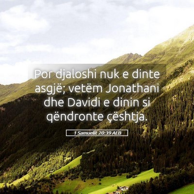 Picture 05 - 1 Samuelit 20:39 ALB - Por djaloshi nuk e dinte asgjë; vetëm Jonathani - Bible Verse Picture