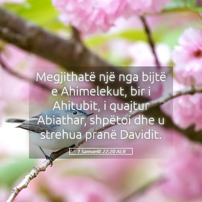 Picture 05 - 1 Samuelit 22:20 ALB - Megjithatë një nga bijtë e Ahimelekut, bir i - Bible Verse Picture