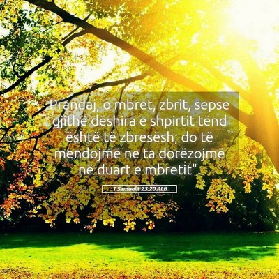 Picture 05 - 1 Samuelit 23:20 ALB - Prandaj, o mbret, zbrit, sepse gjithë dëshira e - Bible Verse Picture