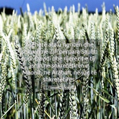 Picture 05 - 1 Samuelit 23:24 ALB - Atëherë ata u ngritën dhe shkuan në Zif, - Bible Verse Picture